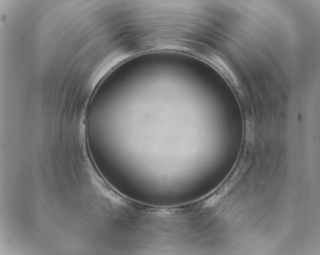 X0000089860814200706281249