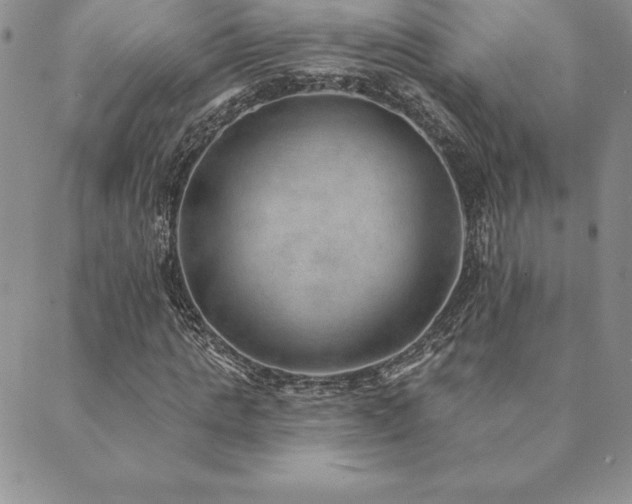 X0000089860821200706281248