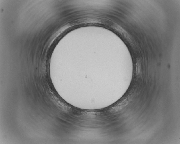 X0000089860828200706281248