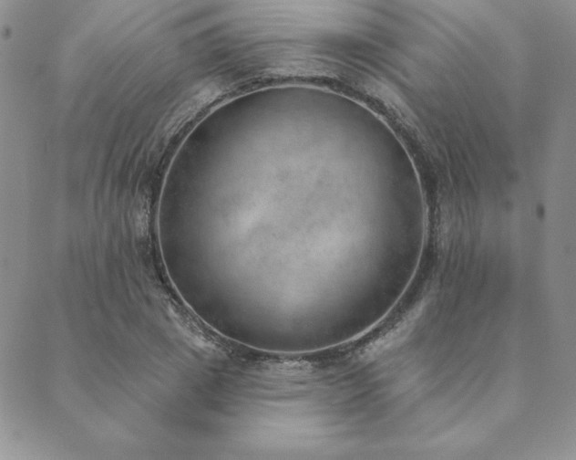 X0000089860833200706281249