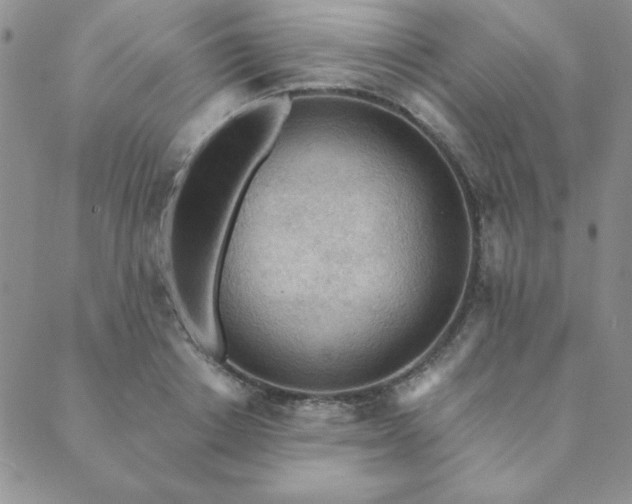 X0000089860842200706281249