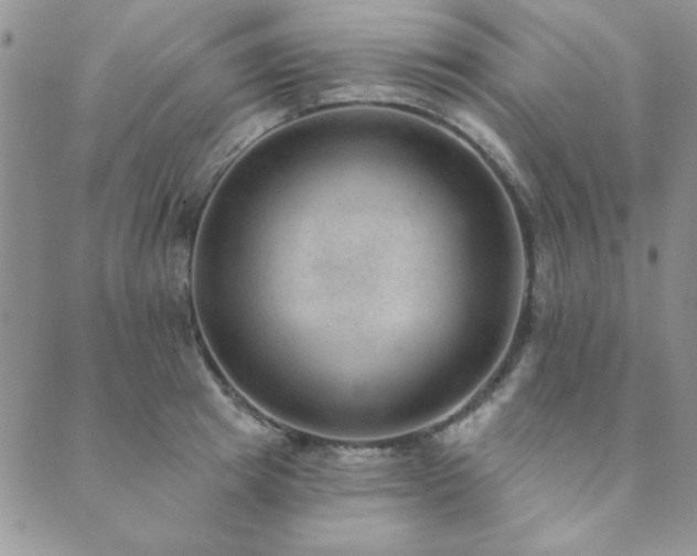 X0000089860849200706281249