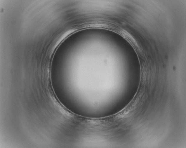 X0000089860852200706281249
