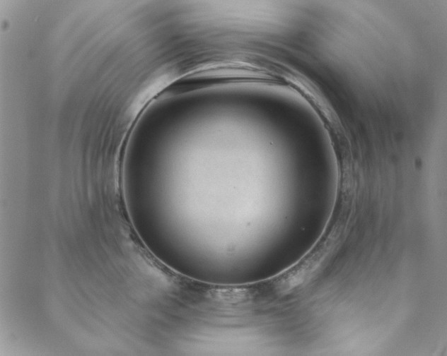 X0000089860858200706281249