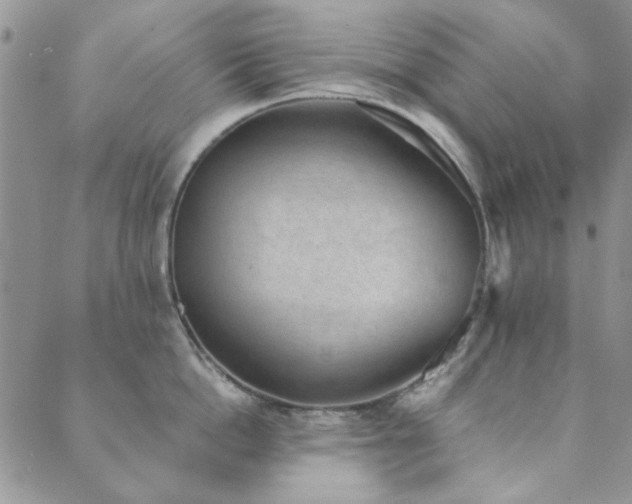 X0000089860862200706281249