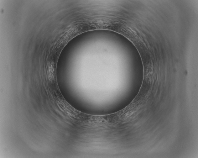 X0000089860866200706281248
