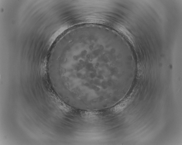 X0000089860875200706281248