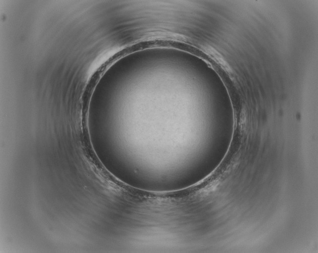 X0000089860877200706281248