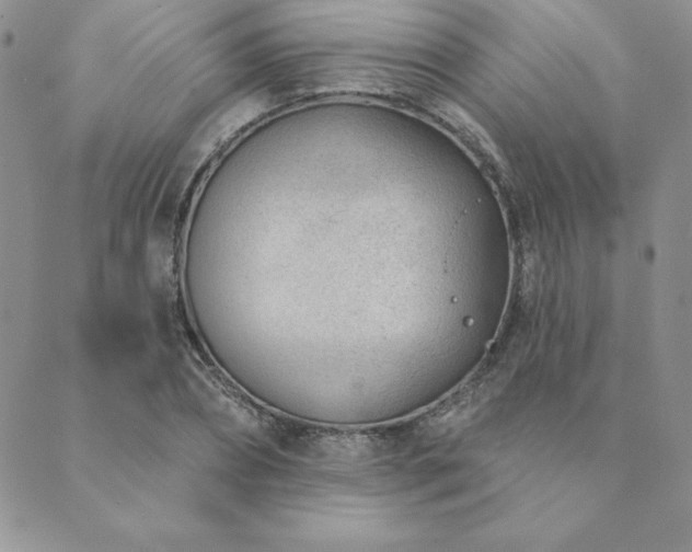 X0000089860882200706281248