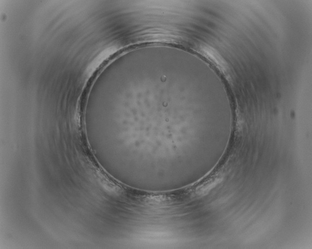 X0000089860883200706281248