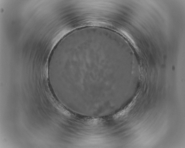 X0000089860891200706281248