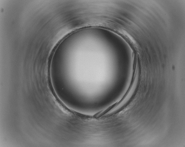 X0000089860894200706281248