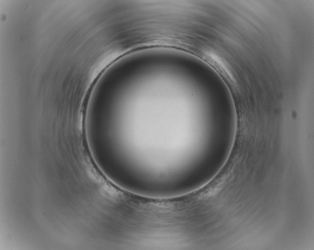 X0000089860900200706281248