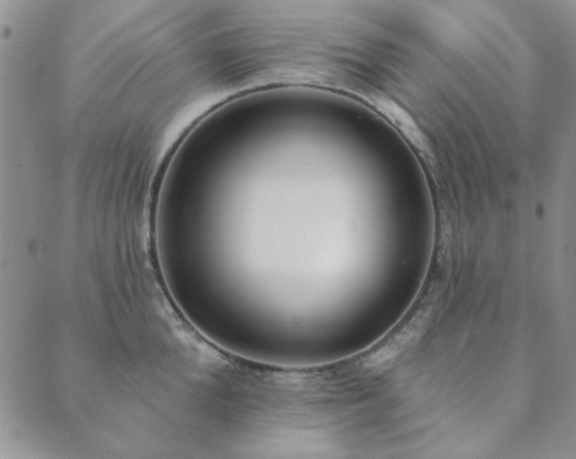 X0000089860904200706281248