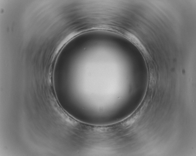 X0000089860908200706281248