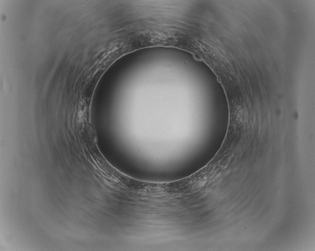 X0000089860914200706281247
