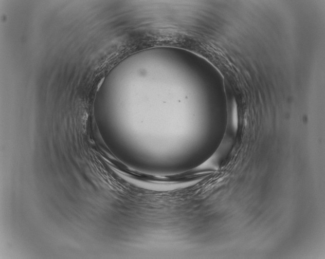 X0000089860916200706281247