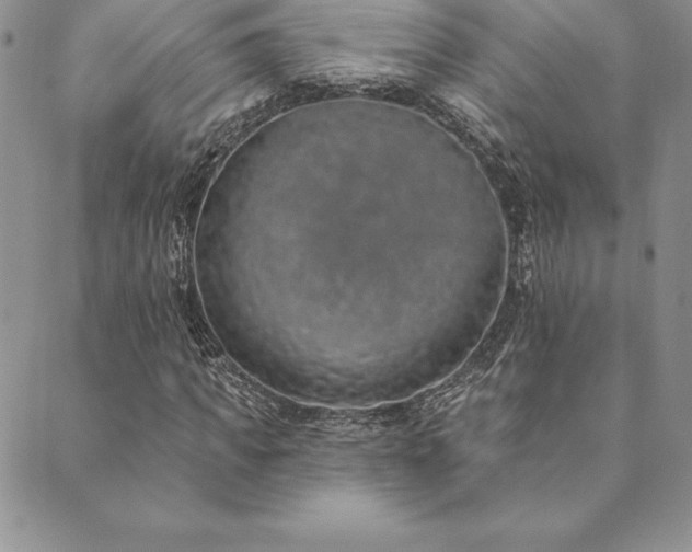 X0000089860917200706281247