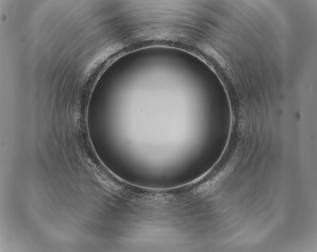 X0000089860922200706281247