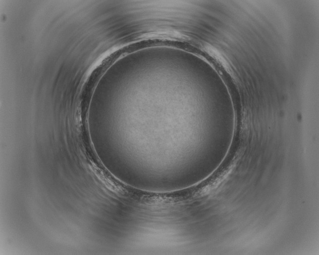 X0000089860923200706281247