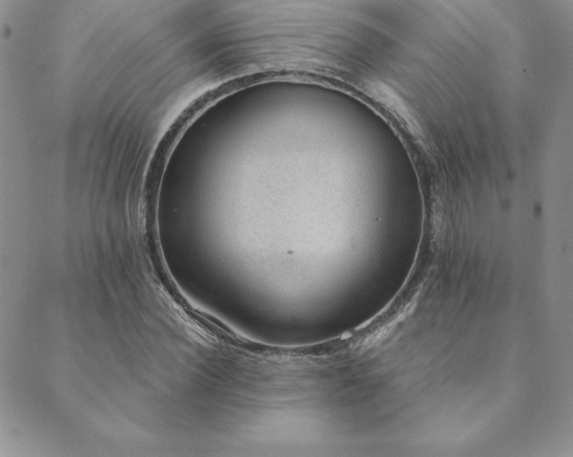 X0000089860924200706281247