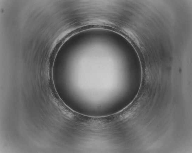X0000089860931200706281247