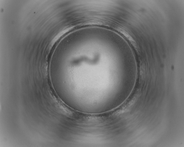 X0000089860933200706281247