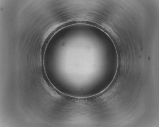 X0000089860934200706281247