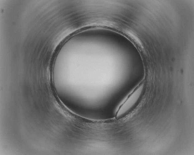 X0000089860936200706281247