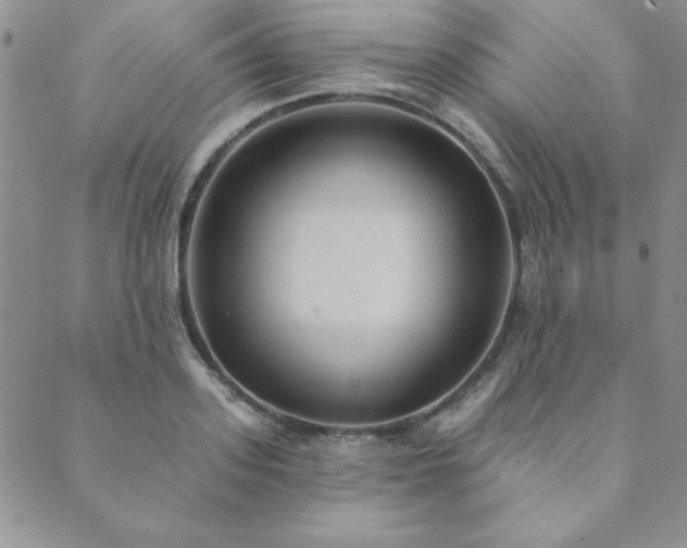 X0000089860939200706281247