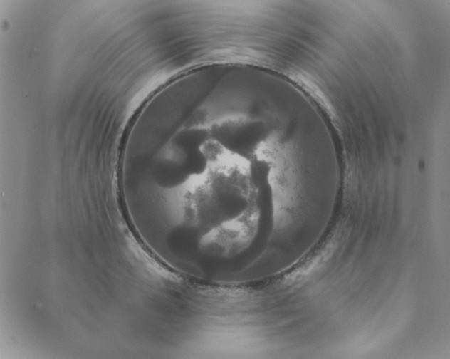 X0000089860941200706281247