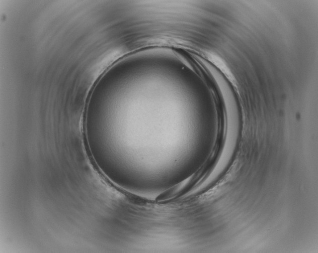 X0000089860946200706281247