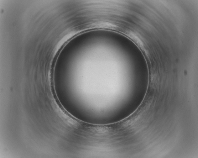 X0000089860947200706281247