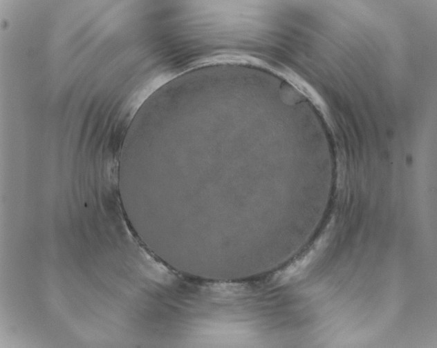 X0000089860953200706281247
