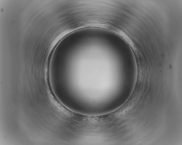 X0000089860955200706281247