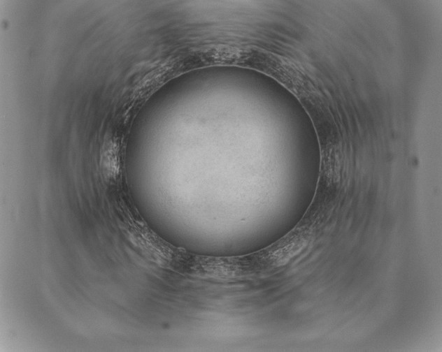 X0000089860962200706281247