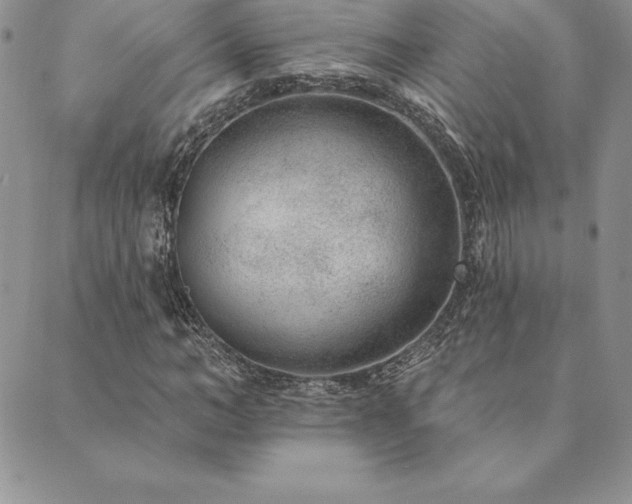 X0000089860966200706281247