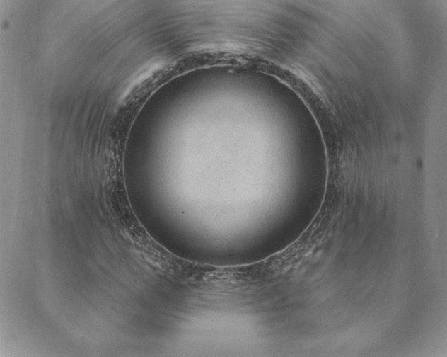 X0000089860967200706281247