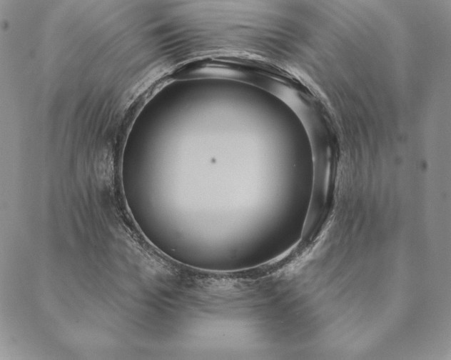 X0000089860969200706281247