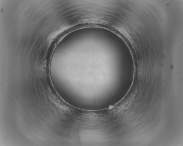 X0000089860971200706281247