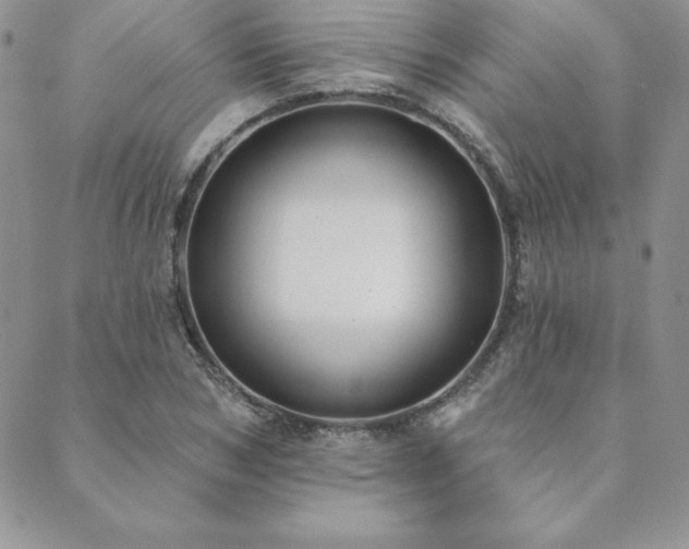 X0000089860978200706281246