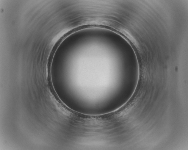 X0000089860980200706281246