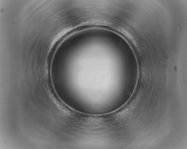 X0000089860981200706281246