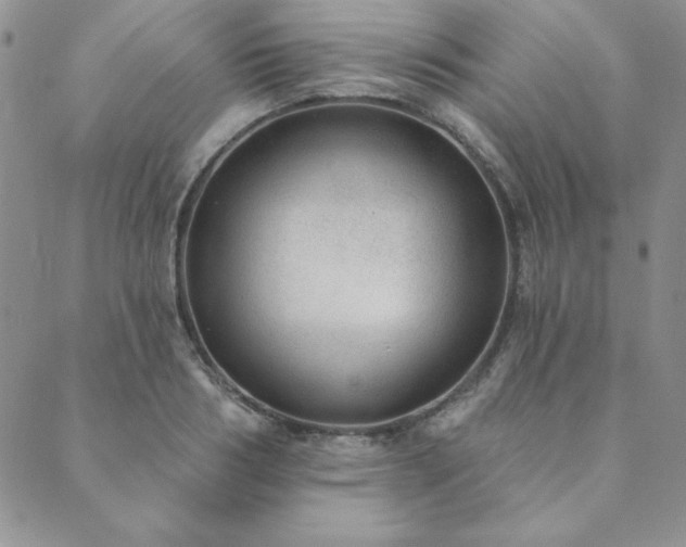 X0000089860986200706281246
