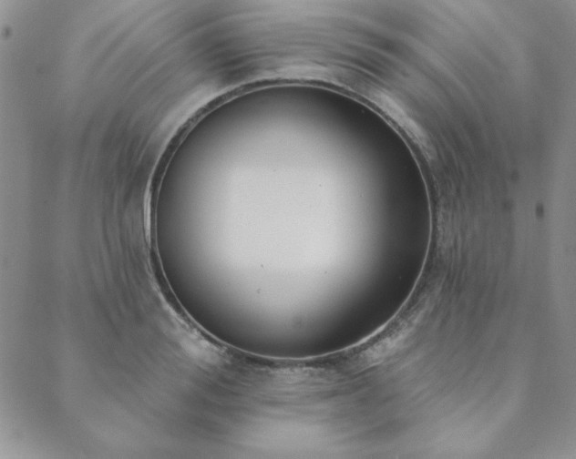 X0000089860988200706281246