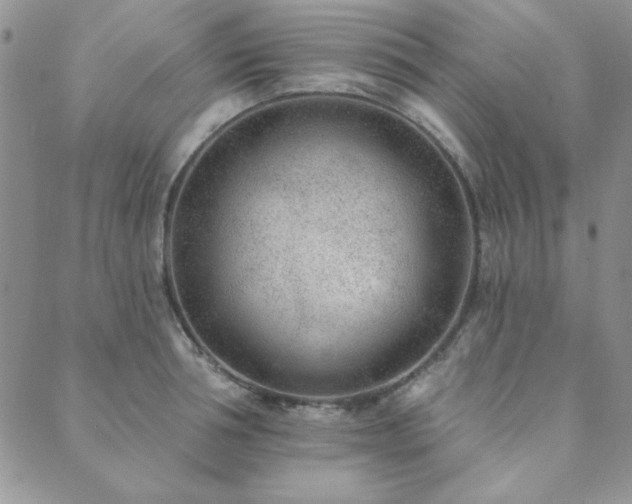 X0000089860994200706281246