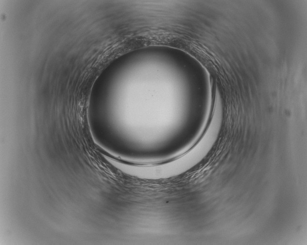 X0000089861010200706281245