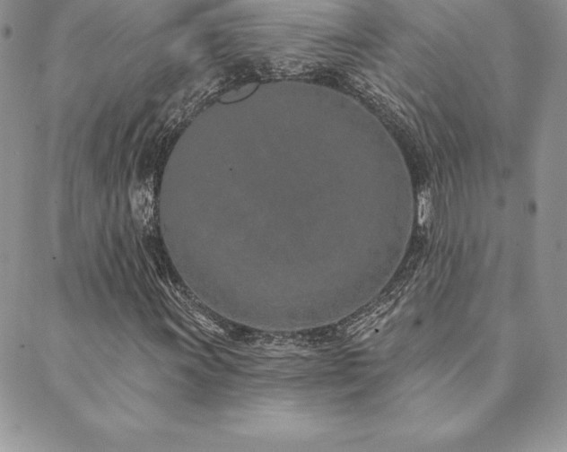 X0000089861011200706281245
