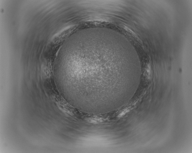 X0000089861014200706281245