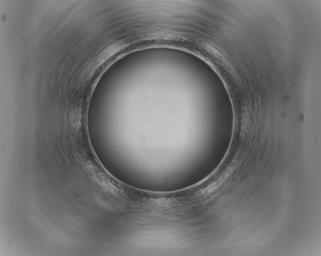 X0000089861017200706281245